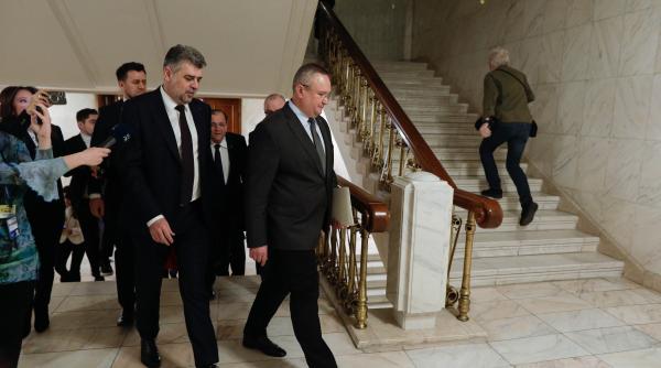 alegeri 2024 psd si pnl declaratii comune