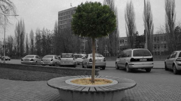 periferia bucurestiului in alb negru instantanee cu viata fara trotuare din ilfov