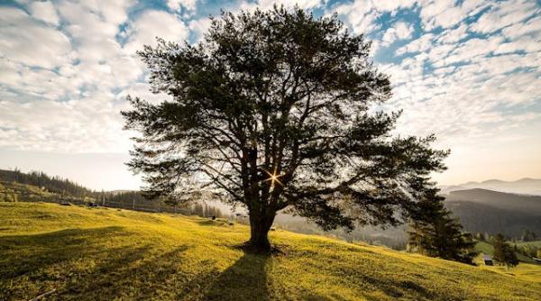 avem lista noilor statiuni turistice din romania tocmai au fost aprobate de guvern
