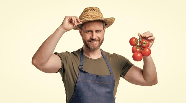 marcel ciolacu anunt de ultima ora pentru fermieri alocam aproape 600 de milioane de lei pentru cultivatorii de tomate cartofi si usturoi romanesc