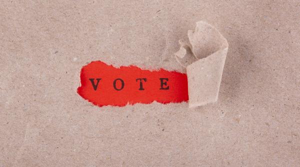 alegeri comasate in 2024 si liste comune bogdan chirieac vor pierde in total la vot prin acest usl nou