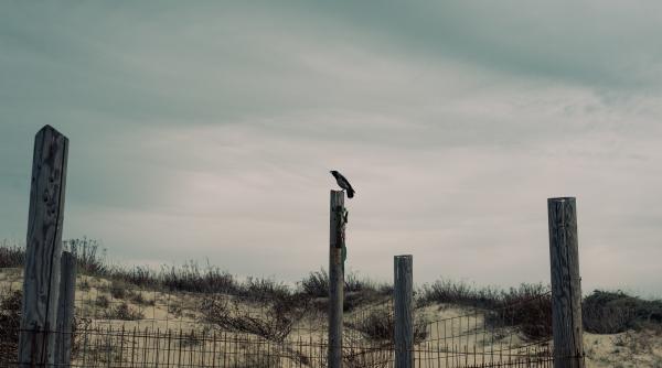 cladirea pe deasupra careia nu zboara nicio pasare nu are nici umbra