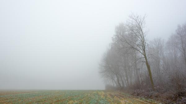 anm alerta meteo de ceata densa si vant puternic