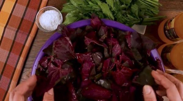 loboda beneficii pentru sanatate