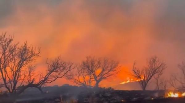 al doilea cel mai mare incendiu din istoria texasului peste 350 000 de hectare au fost devastate de flacari tati o sa mi construiesti o casa noua
