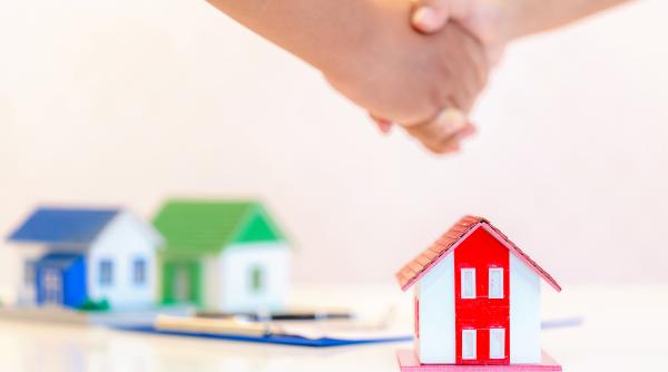 procentul locuintelor cu unic proprietar in romania nicoleta radu paid pare ca foarte multi au averi mari dar majoritatea romanilor