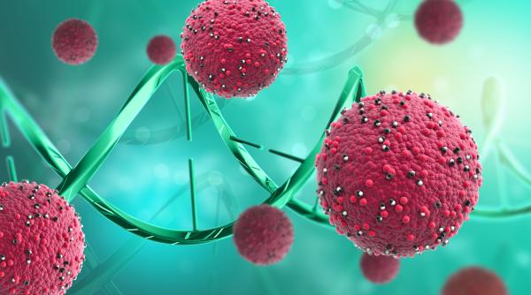 un cancer transmisibil face ravagii prin porturi se pot imbolnavi si oamenii