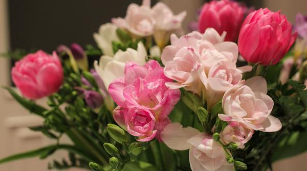 ce flori se daruiesc de 1martie