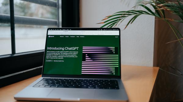 musk da in judecata openai si creatorul chat gpt acuzandu i de tradare a misiunii initiale