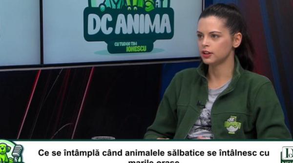 emisiunea iubitorilor de animale dc anima cu tudor tim ionescu oana vasiliu prima invitata