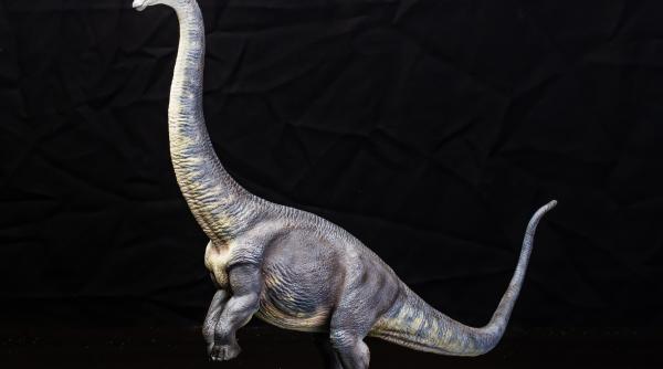 a gasit o fosila de dinozaur veche de 70 de milioane de ani in timp ce isi plimba cainele