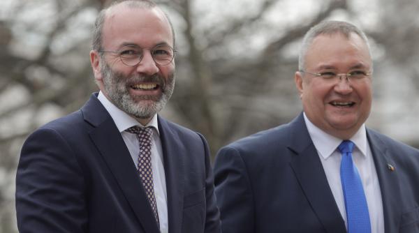 manfred weber primit la sediul pnl de nicolae ciuca