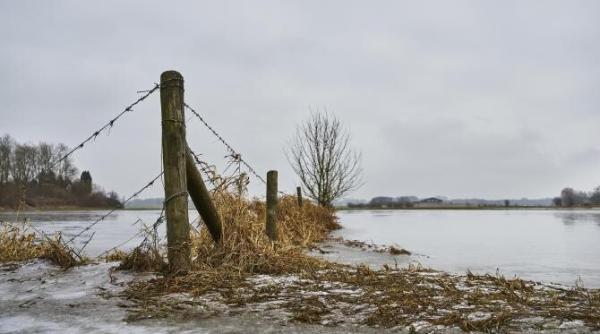 15 gospodarii au fost inundate de o viitura produsa in timis zona s a aflat sub atentionare meteo