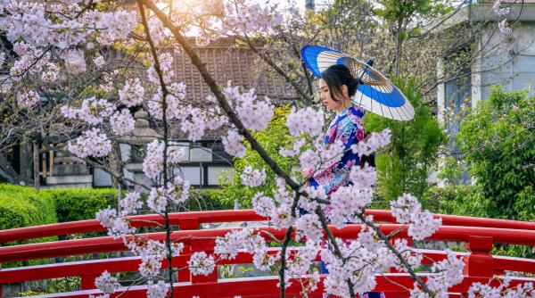 kyoto nu este un parc tematic turistii vor avea interdictie de a intra in faimosul cartier al gheiselor