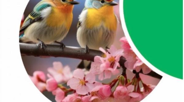 loto tragerile speciale ale primaverii rezultatele extragerilor de duminica 10 martie 2024