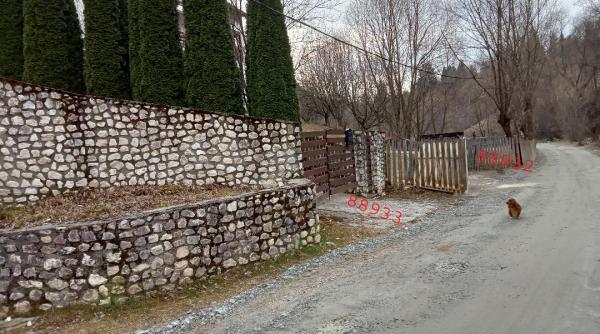 cadou otravit in rucar au facut cadastrul sistematic dar au aruncat comuna in haos innebunim reactioneaza primaria au dreptate oamenii mai bine ne lasa in pace