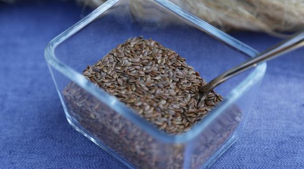 mihaela bilic spulbera mitul acizilor grasi omega 3 din semintele de in nu va mai bateti capul pasarile sunt facute de natura sa se hraneasca cu seminte