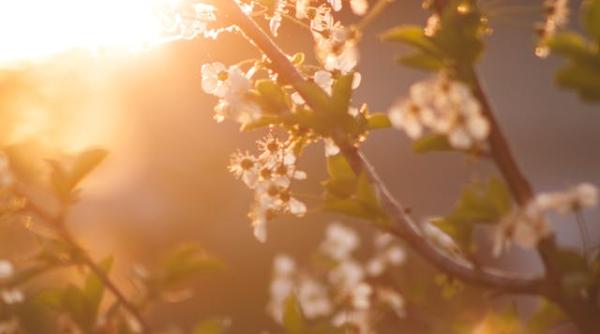s a schimbat prognoza meteo pe o luna dupa doua saptamani capricioase se incalzeste in toata tara dar mai ales la munte