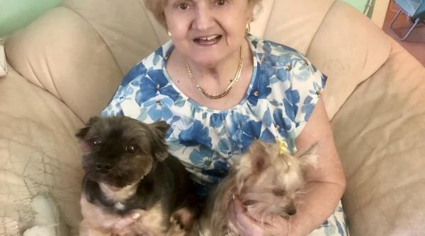 camelia mitoseru isi pregateste locul de veci