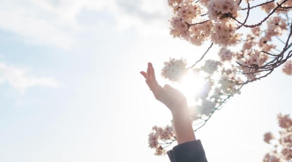 calendar crestin ortodox sarbatoare 14 martie 2024