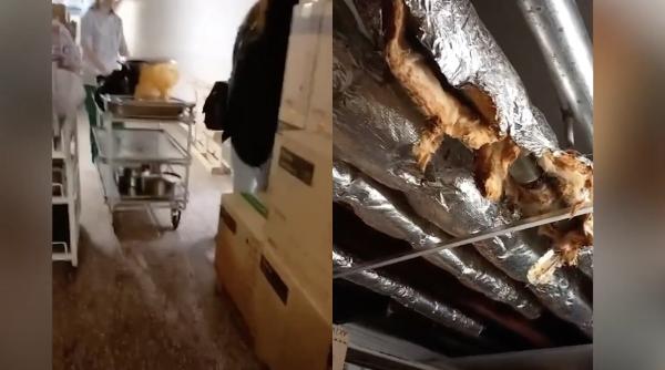 dsp control la spitalul de urgenta sf pantelimon din bucuresti dupa imaginile dcnews in momentul de fata problema este rezolvata