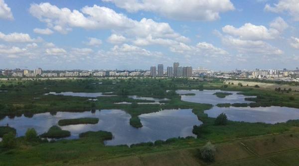 incendiu in delta vacaresti exista pericol de propagare