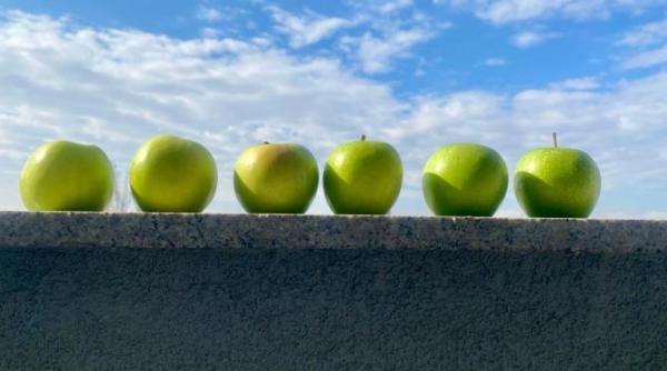 ipoteza legumicultorilor privind pesticide de 450 de ori peste limita nu vi se pare ca gustul romanesc a ramas tot gust polonez cerem controale urgente noi nu otravim pe nimeni