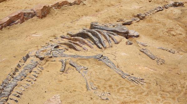 cimitir din neolitic plin de oase de om si de animale unde a fost descoperit