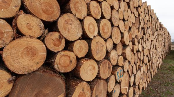 un sat german exemplifica riscul de cancer asociat arderii lemnului