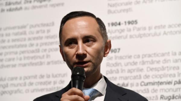 mircea hava despre demiterea lui alin nica de la sefia pnl timis pe dinafara pare o executie dar daca luam informatiile din interior