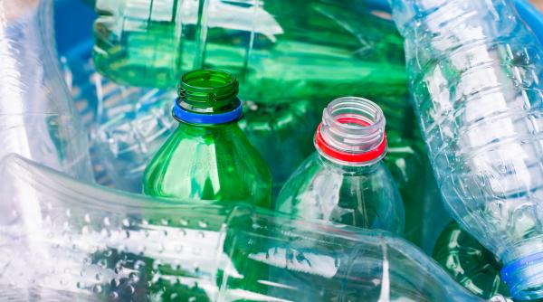 ce i de facut cand automatele de reciclare rvm nu functioneaza mircea fechet lasam peturile la casierie si ne luam banii dupa cei care le arunca pe strada vin altii pentru care 50 de bani conteaza