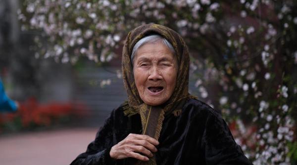 toti japonezii vor imparti acelasi nume de familie peste 500 de ani cum s a ajuns la situatia inedita