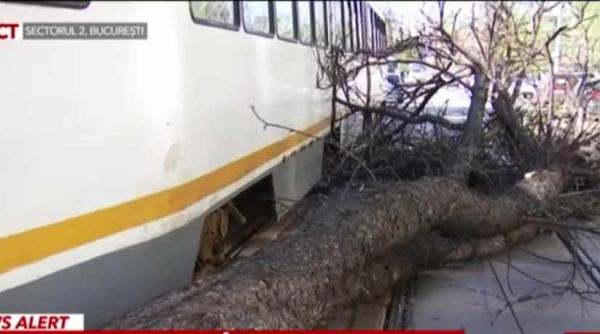 vantul puternic a facut prapad in romania in capitala un copac a cazut peste un tramvai a venit direct in fata mea am zis ca aici mi e sfarsitul