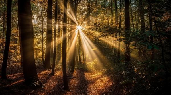 calendar crestin ortodox sarbatoare 4 aprilie 2024