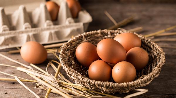 ou bio sau ou cu omega 3 mihaela bilic care e alegerea ideala pentru o dieta sanatoasa