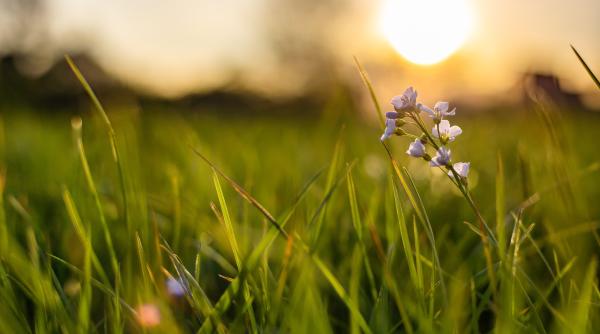 vine vara inca din aprilie elena mateescu anm prognoza meteo pentru urmatoarele zile