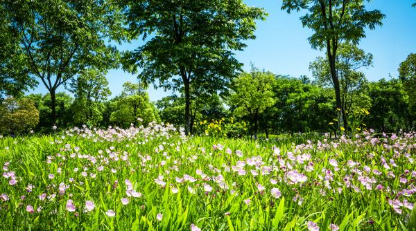 calendar crestin ortodox sarbatoare 6 aprilie 2024