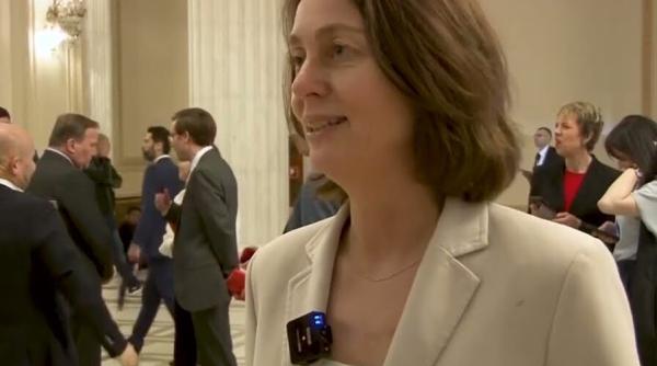 katarina barley vicepresedinte parlamentul european transeaza problema pesticidelor chiar si in interiorul germaniei sunt situatii