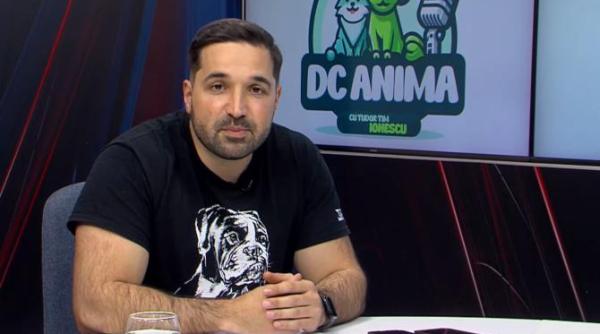 premiera in studioul dc news tv cateii de adoptie participa la dc anima tot ce trebuie sa stii despre adoptia unui catel