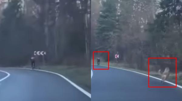 lupul vs biciclistul presedintele salvamont nimeni nu a auzit de asa ceva e mare minune