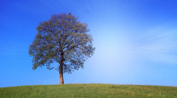 vestul europei lovit de canicula elena mateescu anm in tara noastra o vreme calda vom consemna valori de 28 c
