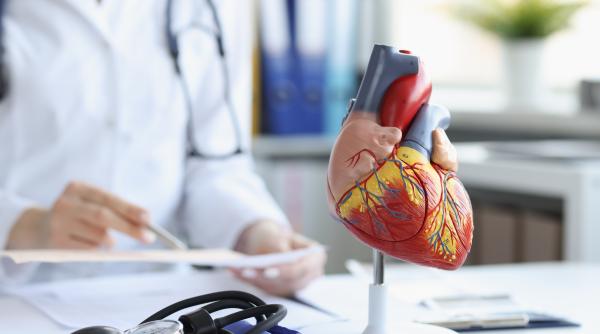 strategia de boli cardiovasculare dr ioana bianchi de ce polonia este un exemplu de urmat video