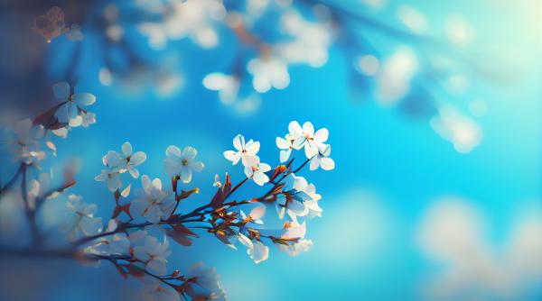 calendar crestin ortodox sarbatoare 10 aprilie 2024