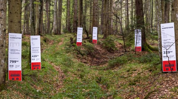 ong urile pun tunurile pe ikea ce se intampla cu padurile pe care le detine in romania cine s ar bucura lemnul romanesc