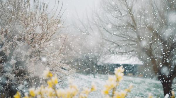 un val de aer rece va acoperi romania alina serban anm vor aparea ninsorile
