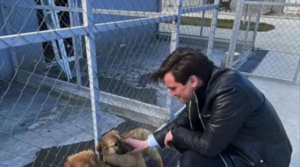 andrei baciu parteneriat cu iubitorii de animale cum vor putea fi sterilizati si microcipati gratuit cainii in sectorul 3 video