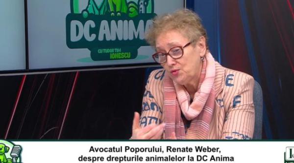 avocatul poporului renate weber despre drepturile animalelor la dc anima
