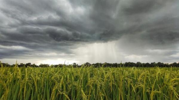 tehnologia rachetelor antigrindina impact redus asupra emisiilor de poluanti madr poluarea echivalenta cu 6 tractoare care parcurg 50 000 km
