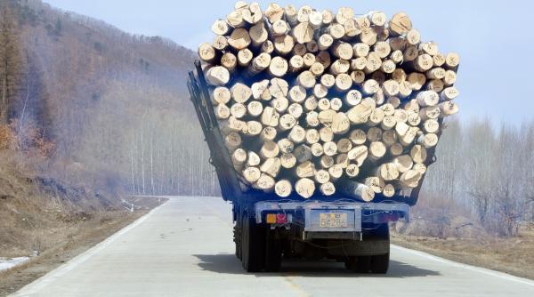 cod qr pe lemnul care iese din padurile romaniei alexandru nazare asa oprim definitiv toata discutia despre furt