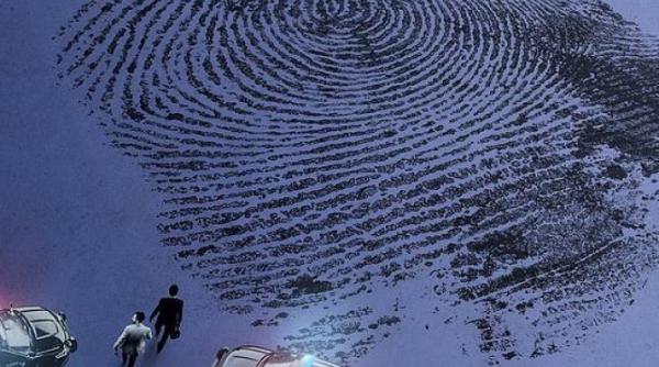 crime investigation in luna mai secretele sectelor poligame primele 48 de ore si crimele de la ferma little bridge